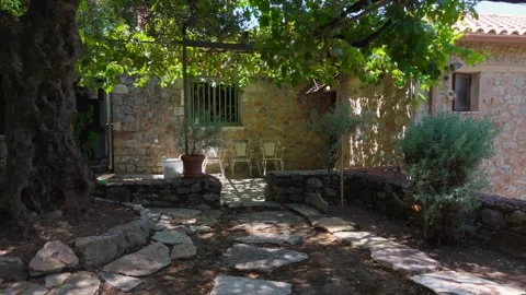Vintage Chairs Beneath Grapevine at Stone Cottage Stock Footage 343915596