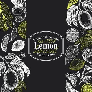 Vintage citrus background. Lemon tree design template. Hand drawn vector fruit Stock Illustration
