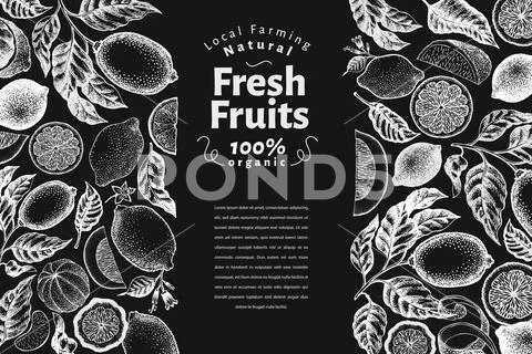 Vintage citrus banner template. Lemon tree design. Hand drawn vector fruit il Stock Illustration