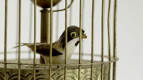 Vintage clock with little bird in a cage Stock Footage 100692142