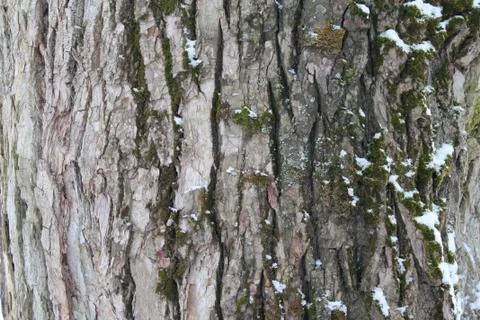 Vintage closeup for wallpaper design. Foto stock