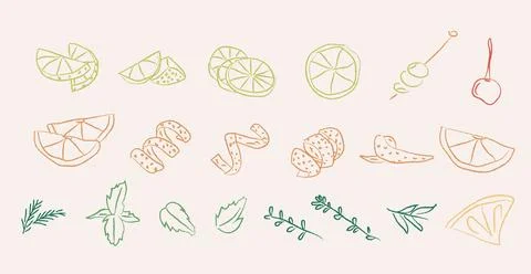Vintage cocktail garnish elements set in whimsical doodle style. Hand drawn Stock Illustration