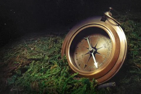 Vintage compass on the background of moss. Stock Photos