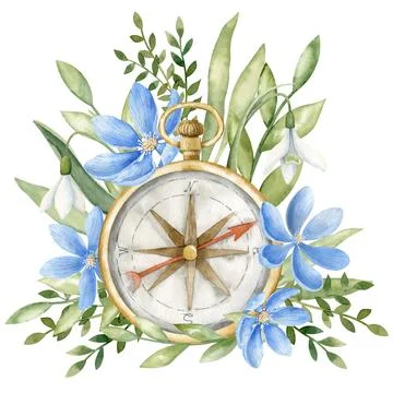 Vintage Compass with blue Flowers. Hand drawn watercolor illustration of Stock Illustration