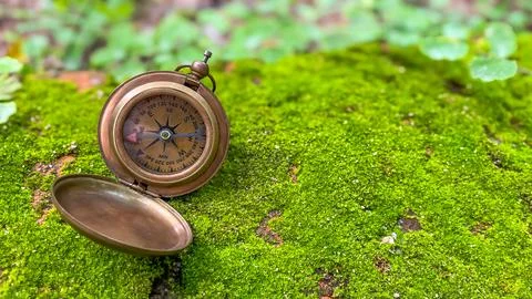 A vintage compass on moss in the forest 库存照片