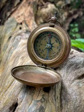 Vintage compass for navigating the rainforest Stock Photos