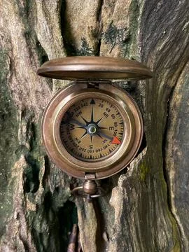 Vintage compass with open lid on a tree trunk Stock Photos