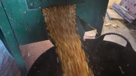 Vintage corn shelling machine separating kernels from corn cobs, showcasing.. Stock Footage 284625461