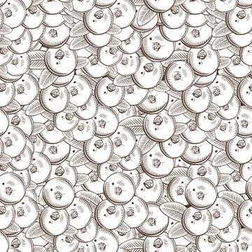 Vintage Cranberry Seamless Pattern Stock Illustration
