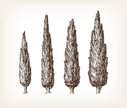 Vintage cypress set Stock Illustration