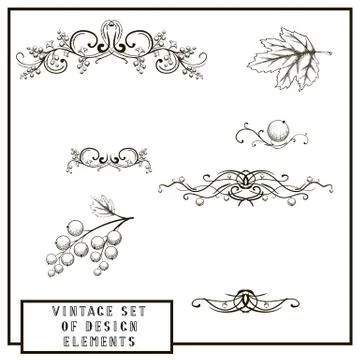 Vintage decorative elements. Illustrazione stock