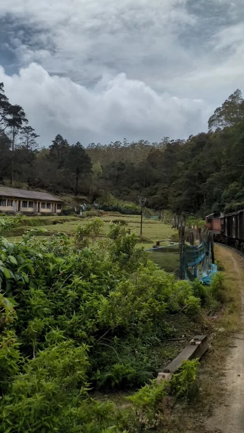 Vintage diesel train moving through lush tea highlands 스톡 동영상 322011653