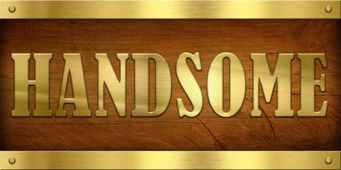 Vintage door plate, handsome Illustrazione stock