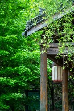Vintage Elements for Beginning of Summer Solar Term Design 写真素材