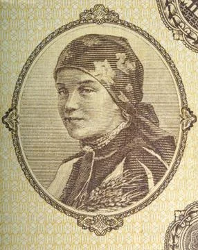 Vintage elements of paper banknotes Stock Photos