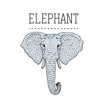 Vintage Elephant Logo design vector template linear style Illustrazione stock