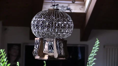 Vintage empty Old Bird Cage swinging in a Living Room Video stock 48860097