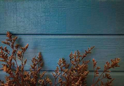 Vintage empty space background, old blue painted wood plank with golden and b 스톡 사진