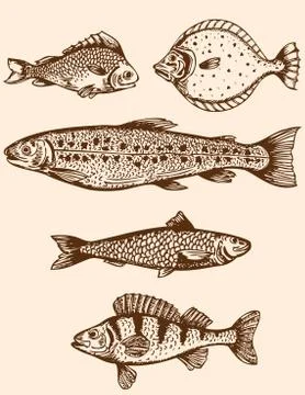 Vintage fish Stock Illustration