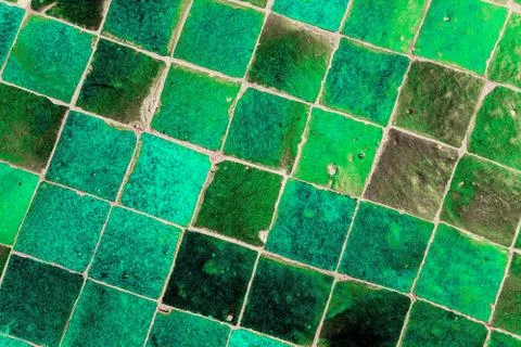 Vintage floor tiles pattern Stock Photos
