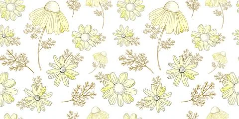 Vintage floral pattern. Wildflowers pattern. Old Texura. beige background, wh 스톡 일러스트
