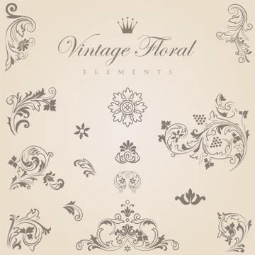Vintage floral vector design elements collection. floral ornament abstract. Stock Illustration