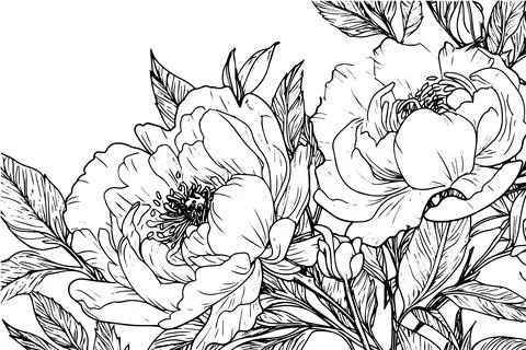 Vintage Floral Vector Pattern: Baroque Rose and Peony Seamless Sketch with 스톡 일러스트