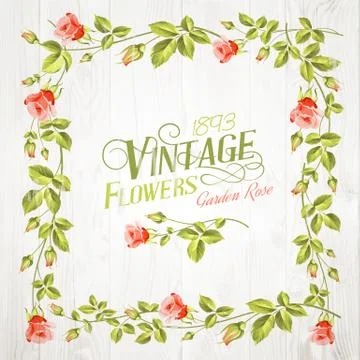 Vintage flower frame. Stock Illustration