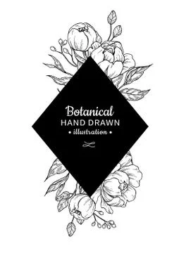 Vintage flower vector frame drawing. Peony, rose, leaves and ber Stock Illustration