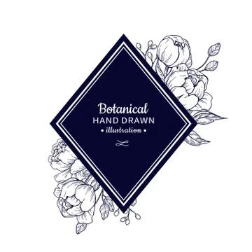 Vintage flower vector frame drawing. Peony, rose, leaves and ber Stock Illustration