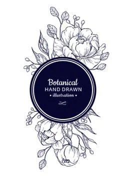 Vintage flower vector frame drawing. Peony, rose, leaves and ber Stock Illustration