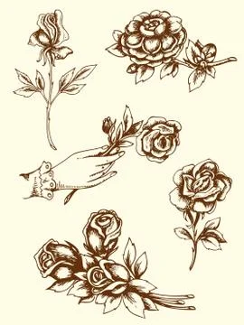 Vintage flowers Stock Illustration