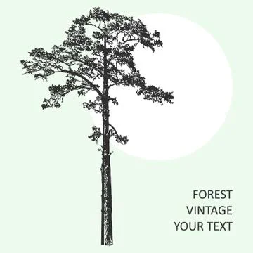 Vintage forest tree design template. Vector illustration Stock Illustration