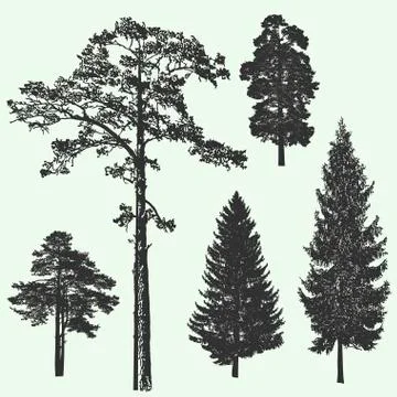 Vintage forest tree design template. Vector illustration Stock Illustration