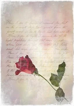 Vintage frame with rose Stock Illustration