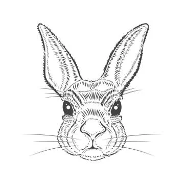 Vintage graphic Rabbit Vector Print Stock Illustration