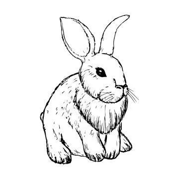 Vintage Graphic Rabbit Vector printing, bunny, sketching Illustrazione stock