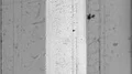 Vintage Grunge Old Film Edge Numbers Clear Leader Graphic Distressed Movie Retro HD Footage