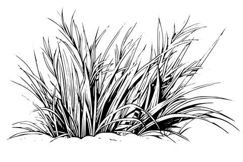 Vintage Hand-Drawn Grass Vector Sketch. Engraved style plant illustration. Stock Illustration