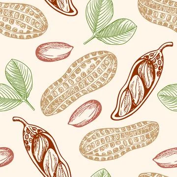 Vintage hand drawn seamless pattern with peanuts. Stock Illustration