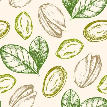 Vintage hand drawn seamless pattern with pistachio. Stock Illustration