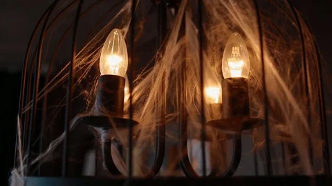 Vintage lamp with web Stock Footage 75733349