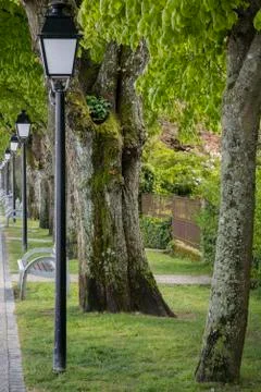 Vintage lampost and trees in Saint Valery sur Somme, France Stock Photos