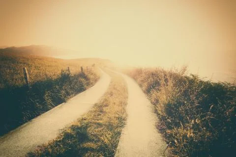 Vintage landscape background with a path Stock Photos