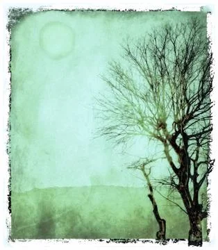 Vintage landscape with bare tree Stock Illustration