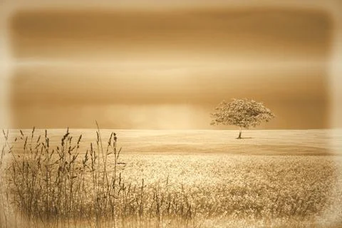Vintage landscape with single tree Stock Illustration