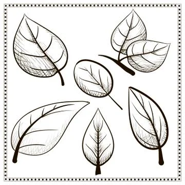 Vintage leaves set. Illustrazione stock