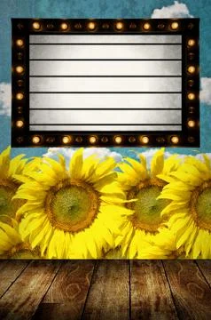 Vintage Light box program board with sunflower farm background Stock Photos
