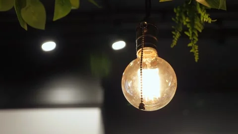 Vintage light bulb on the ceiling with green leaves in the loft cafe. Stock Footage 291514954