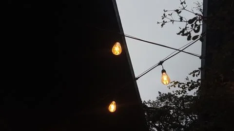 Vintage light bulbs on string wire against sunset sky Stock-Fotos